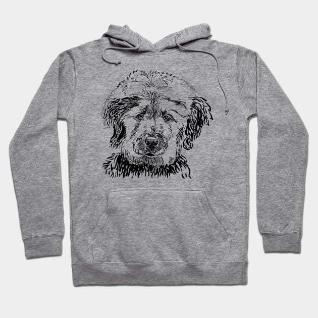 labradoodle portrait Hoodie by VicaVeresk